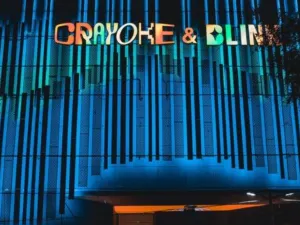 CRAYOKE&BLINK
