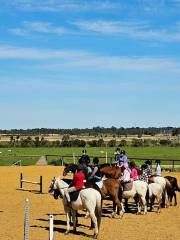 Yarrada Farm Riding School