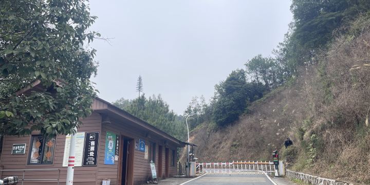 Yashan Forest Farm