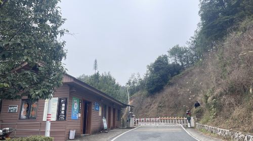 丫山林場