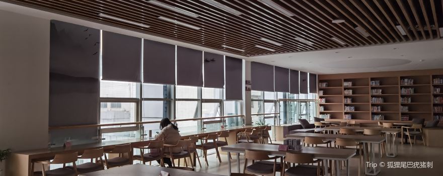 Linshui Library