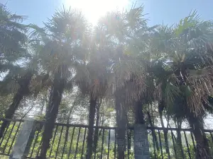 Digou Scenic Area