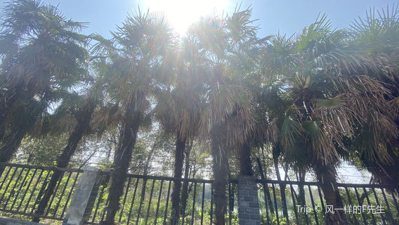 Digou Scenic Area