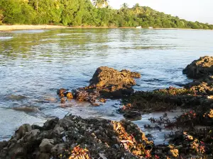 Maputo-Bucht