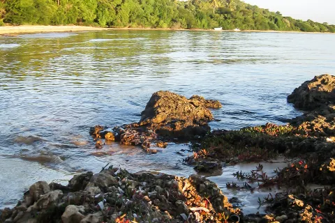 Baia di Maputo
