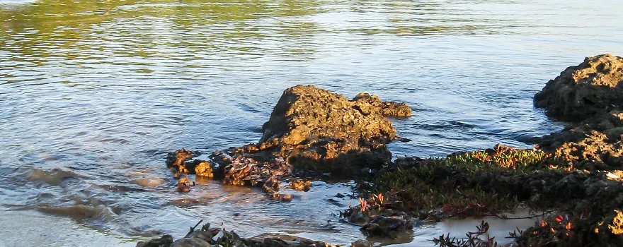 Bahía de Maputo