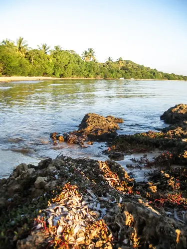 Bahía de Maputo