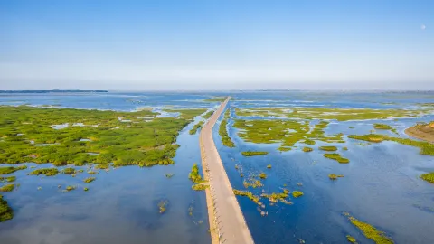 Poyang Lake attraction in Jiujiang