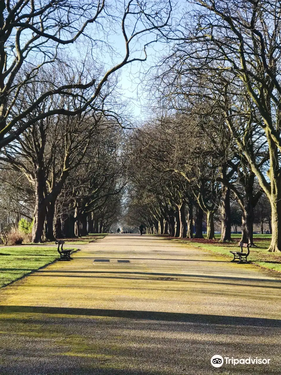 3_Albert Park