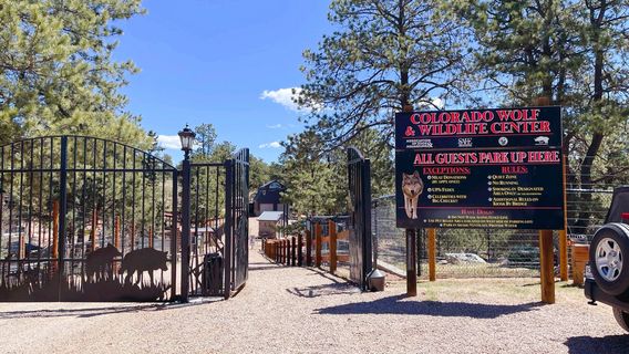 Colorado Wolf and Wildlife Center