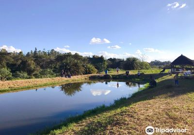 Kalimba Reptile Park