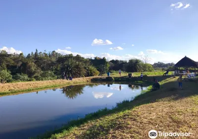 Kalimba Reptile Park