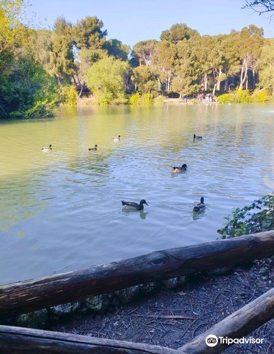 Parco Pineta