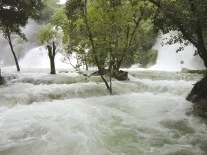 Cascadas de Tamasopo
