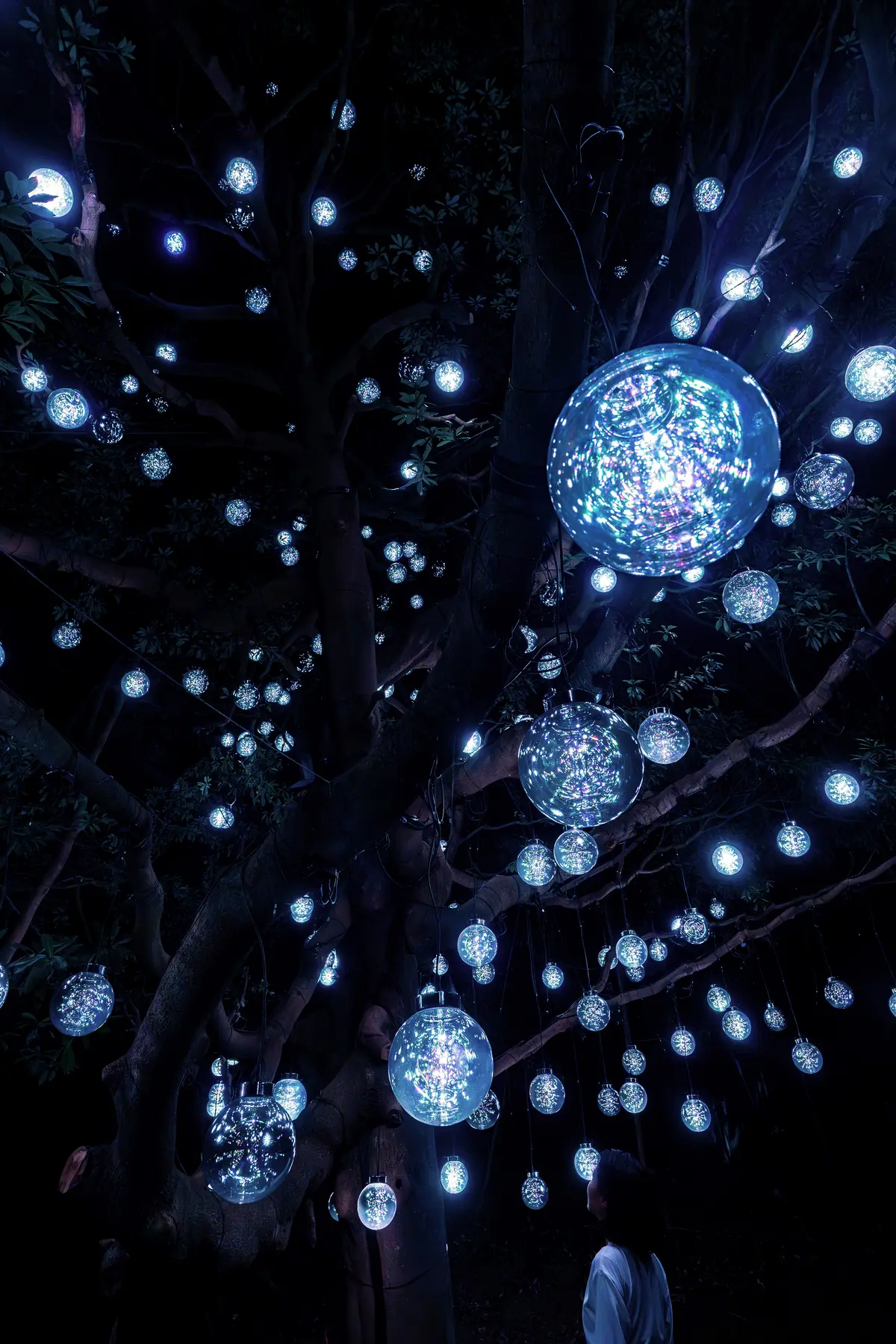 teamLab: Hidden Traces of Rice Terraces | Kitaibaraki