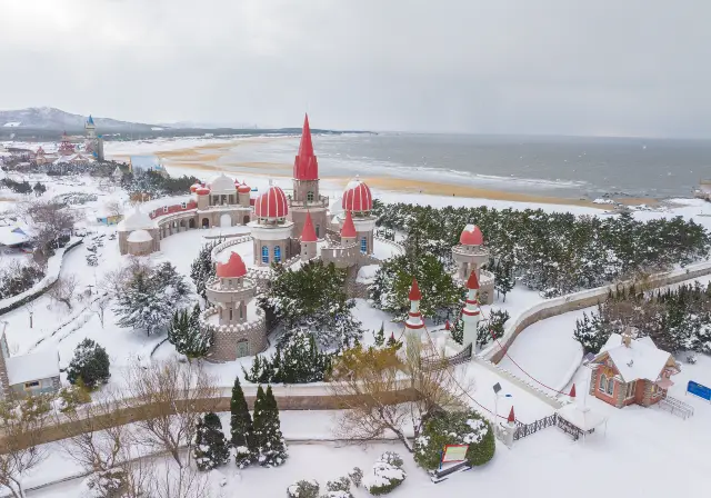 Seaside Snow Viewing in Weihai