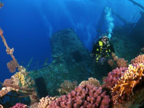 Voli Napoli Sharm El-Sheikh Ryanair