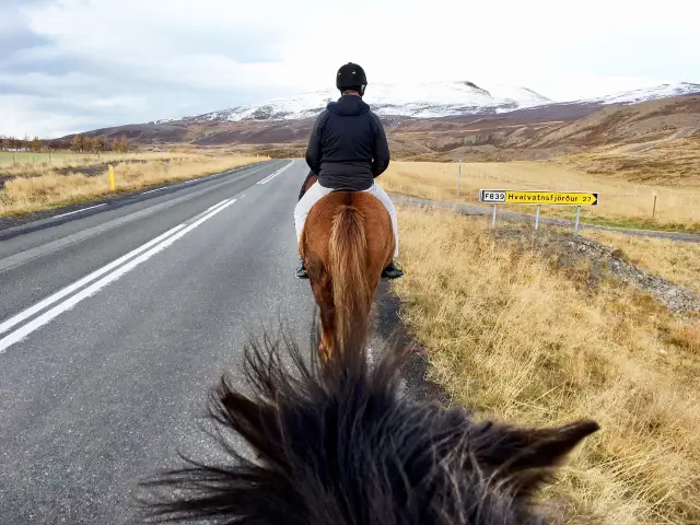 Horseback riding in Reykjavik