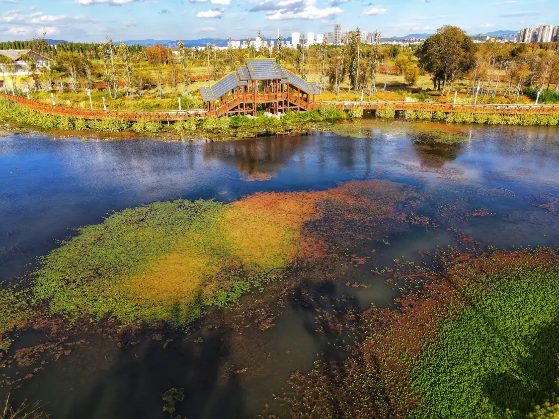Hotels near Wangguan Wetland Park