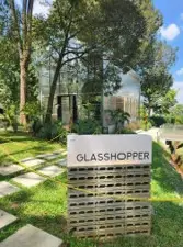 The Glasshopper