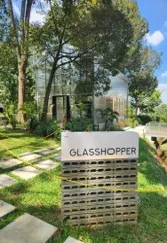 The Glasshopper