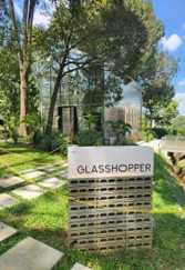 The Glasshopper
