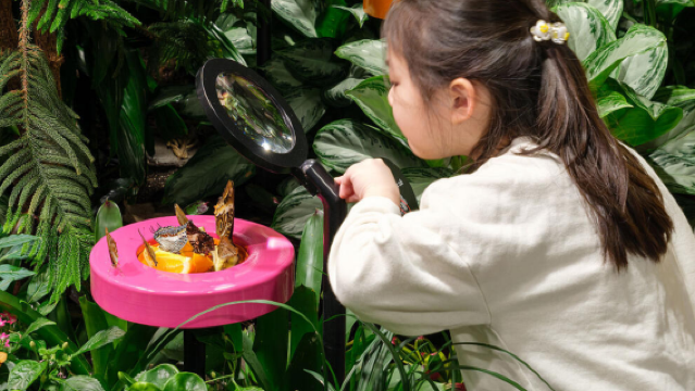 Davis Family Butterfly Vivarium