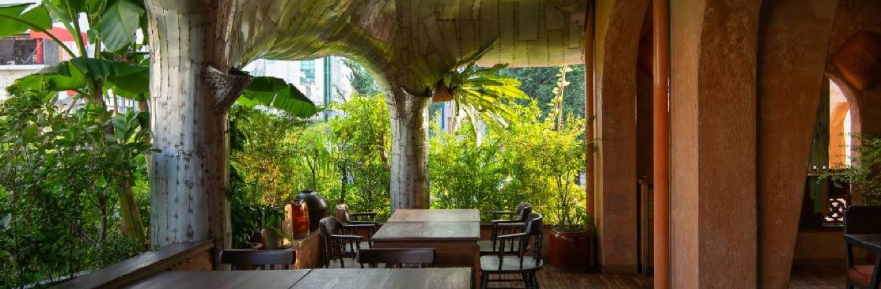 Mặn Mòi - Tao Đàn