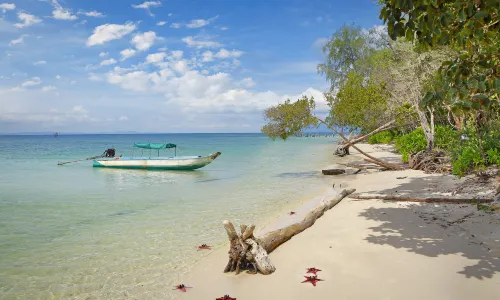Starfish Beach