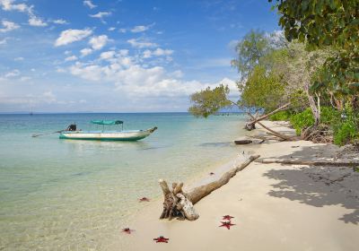 Starfish Beach
