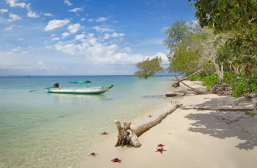 Starfish Beach