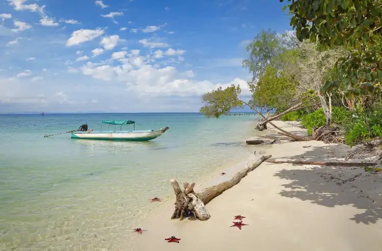 Hotels near Starfish Beach