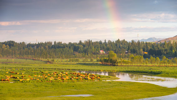 Ili River Valley National Wetland Park