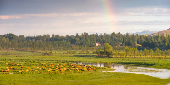 伊犁河谷國家濕地公園