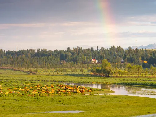 伊犁河谷國家濕地公園