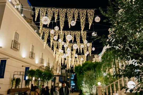 Omotesando Illumination | Tokyo