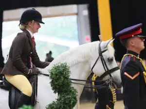HOYS 2026