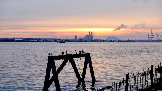 Mayflower Park