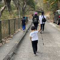 #親子游#馬鞍山郊野公園 | 第一次三姐妹一齊行山