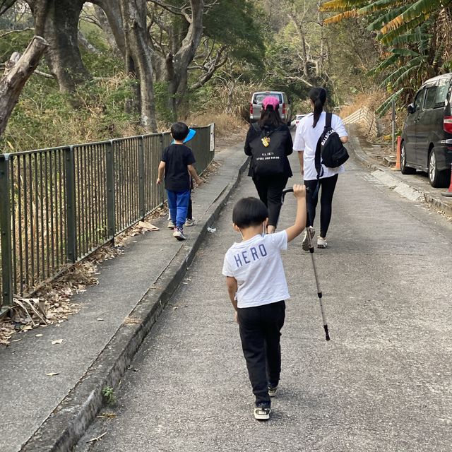#親子游#馬鞍山郊野公園 | 第一次三姐妹一齊行山