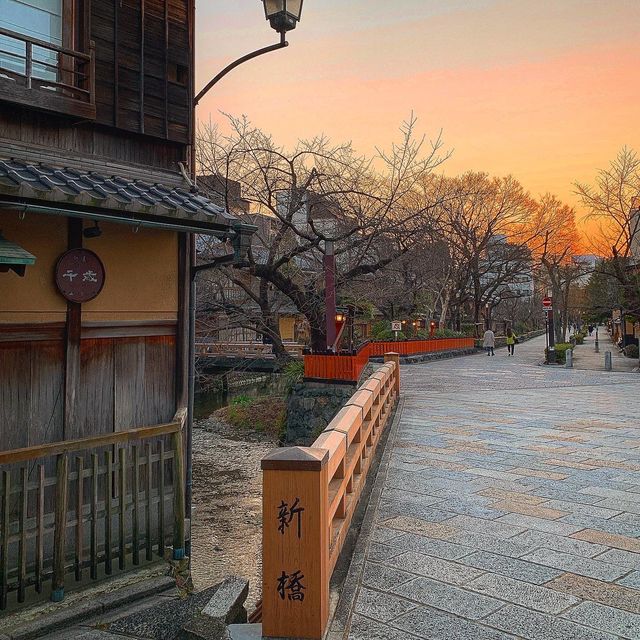 京都　祇園白川