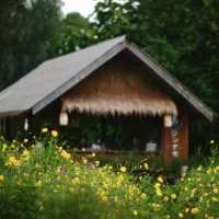 คาเฟ่ถูกใจ ดอกไม้งาม
