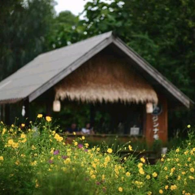 คาเฟ่ถูกใจ ดอกไม้งาม