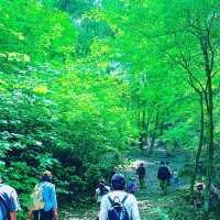 京都　街並みが一望できる大文字山