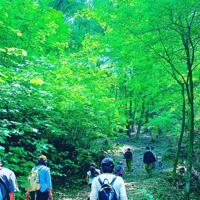 京都　街並みが一望できる大文字山