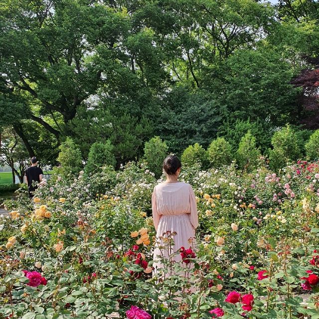 예쁜 꽃들이 기다리고 있는 곳