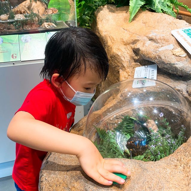 免費親子好去處