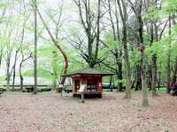 京都中心部の憩いの場