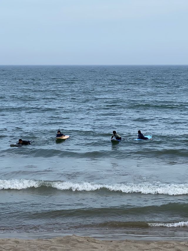 기장 해운대 해물칼국수 