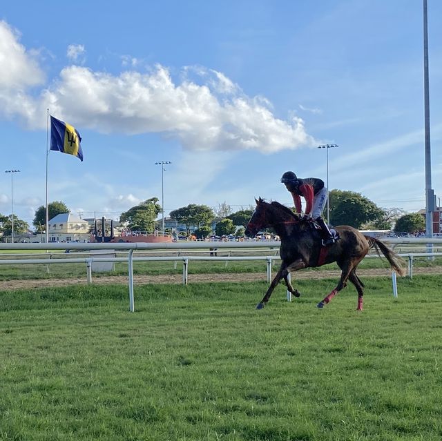 Barbados 的賽馬日